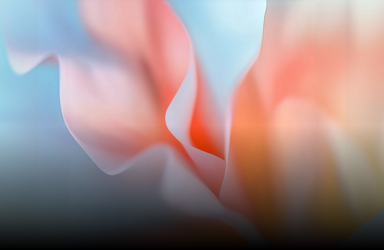 案例2